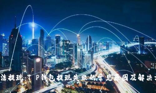 无法提现:T P钱包提现失败的常见原因及解决方案