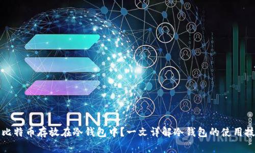 如何安全地将比特币存放在冷钱包中?一文详解冷钱包的使用技巧与注意事项