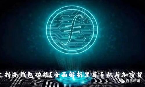 黑莓手机是否支持冷钱包功能?全面解析黑莓手机与加密货币冷钱包的关系