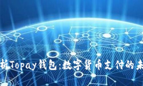 全面解析Topay钱包：数字货币支付的未来趋势