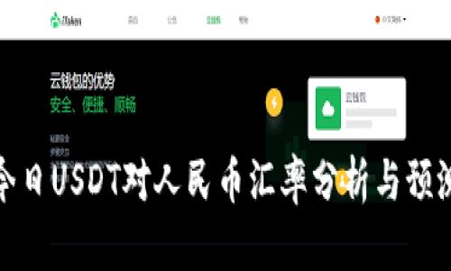 今日USDT对人民币汇率分析与预测