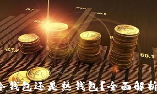 vgo钱包是冷钱包还是热钱包?全面解析与选择指南