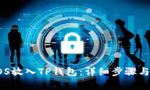 如何将EOS放入TP钱包:详细步骤与注意事项