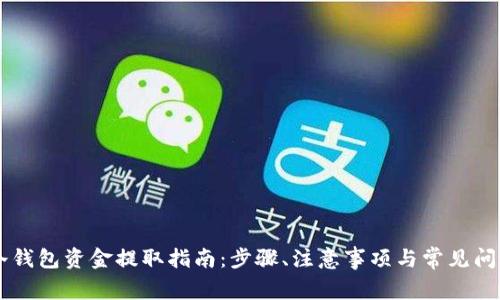 币市冷钱包资金提取指南:步骤、注意事项与常见问题解析