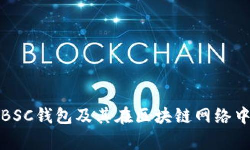 深入解析BSC钱包及其在区块链网络中的重要性