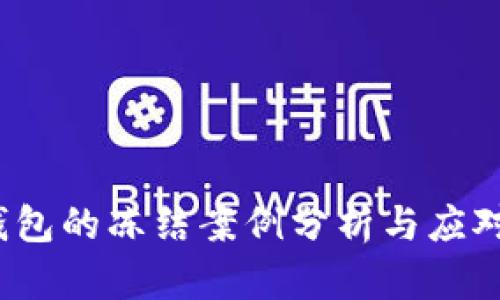 冷钱包的冻结案例分析与应对策略