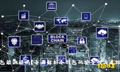 冷钱包能溯源吗?全面解析冷钱包的安全性与追踪特性