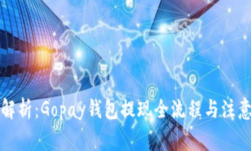 全面解析:Gopay钱包提现全流程与注意事项