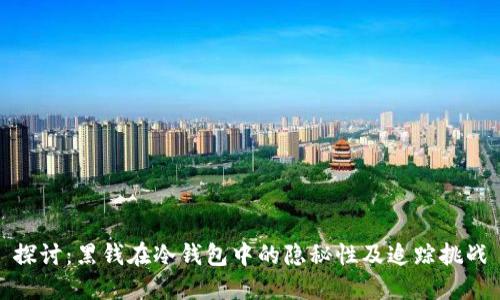 探讨:黑钱在冷钱包中的隐秘性及追踪挑战