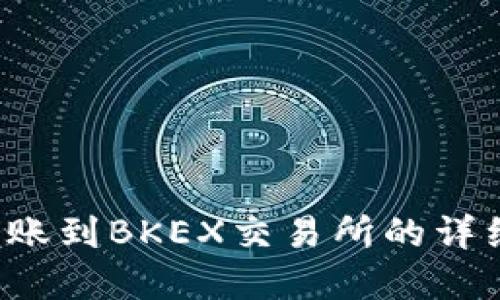 t p钱包转账到BKEX交易所的详细操作指南