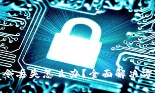 加密钱包的口令丢失怎么办？全面解决方案与保护措施