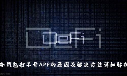 冷钱包打不开APP的原因及解决方法详细解析