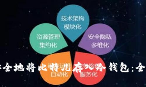 如何安全地将比特儿存入冷钱包:全面指南