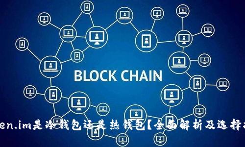 token.im是冷钱包还是热钱包?全面解析及选择指南