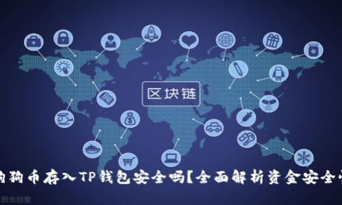 狗狗币存入TP钱包安全吗?全面解析资金安全性