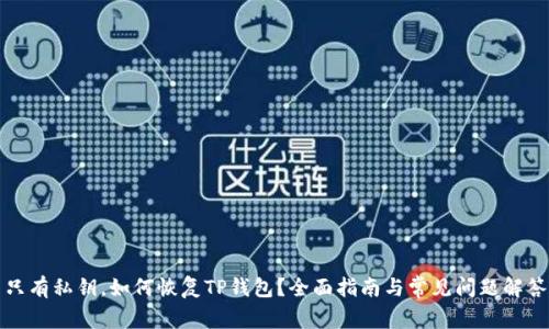 只有私钥,如何恢复TP钱包?全面指南与常见问题解答