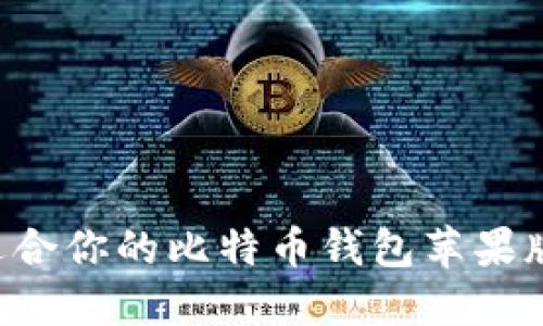 如何选择适合你的比特币钱包苹果版:全面指南