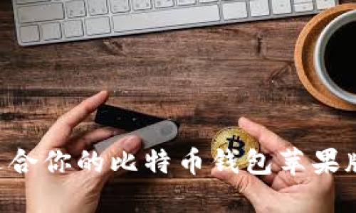 如何选择适合你的比特币钱包苹果版:全面指南