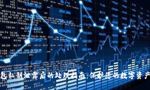 TP钱包私钥泄露后的处理指南:保护您的数字资产安全