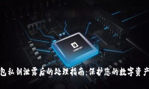 TP钱包私钥泄露后的处理指南:保护您的数字资产安全
