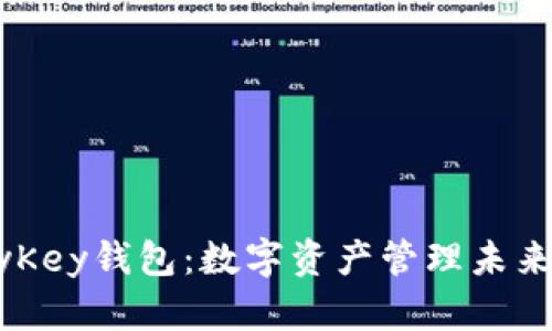 TP钱包与MyKey钱包：数字资产管理未来发展的探索