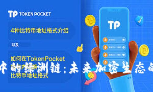 探索TP钱包中的绿洲链：未来加密生态的潜力与应用