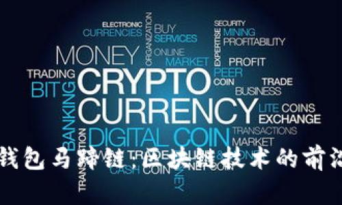 揭秘TP钱包马蹄链：区块链技术的前沿与应用