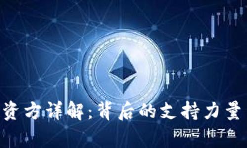 TokenPocket投资方详解：背后的支持力量与市场前景分析