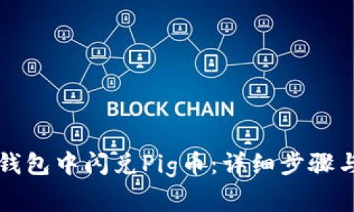 如何在TP钱包中闪兑Pig币：详细步骤与注意事项
